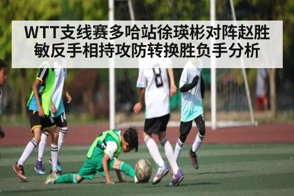 WTT支线赛多哈站徐瑛彬对阵赵胜敏反手相持攻防转换胜负手分析 - kaiyun